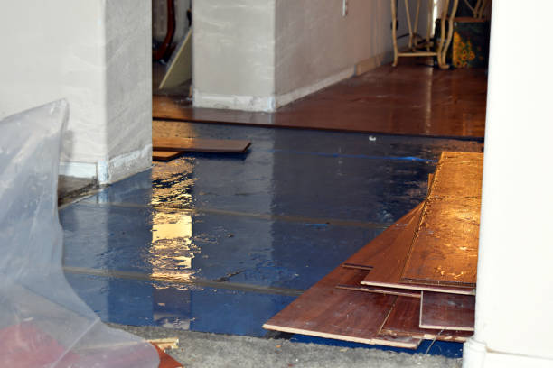Professional Burst Pipe Cleanup technician working in East Andover, ME